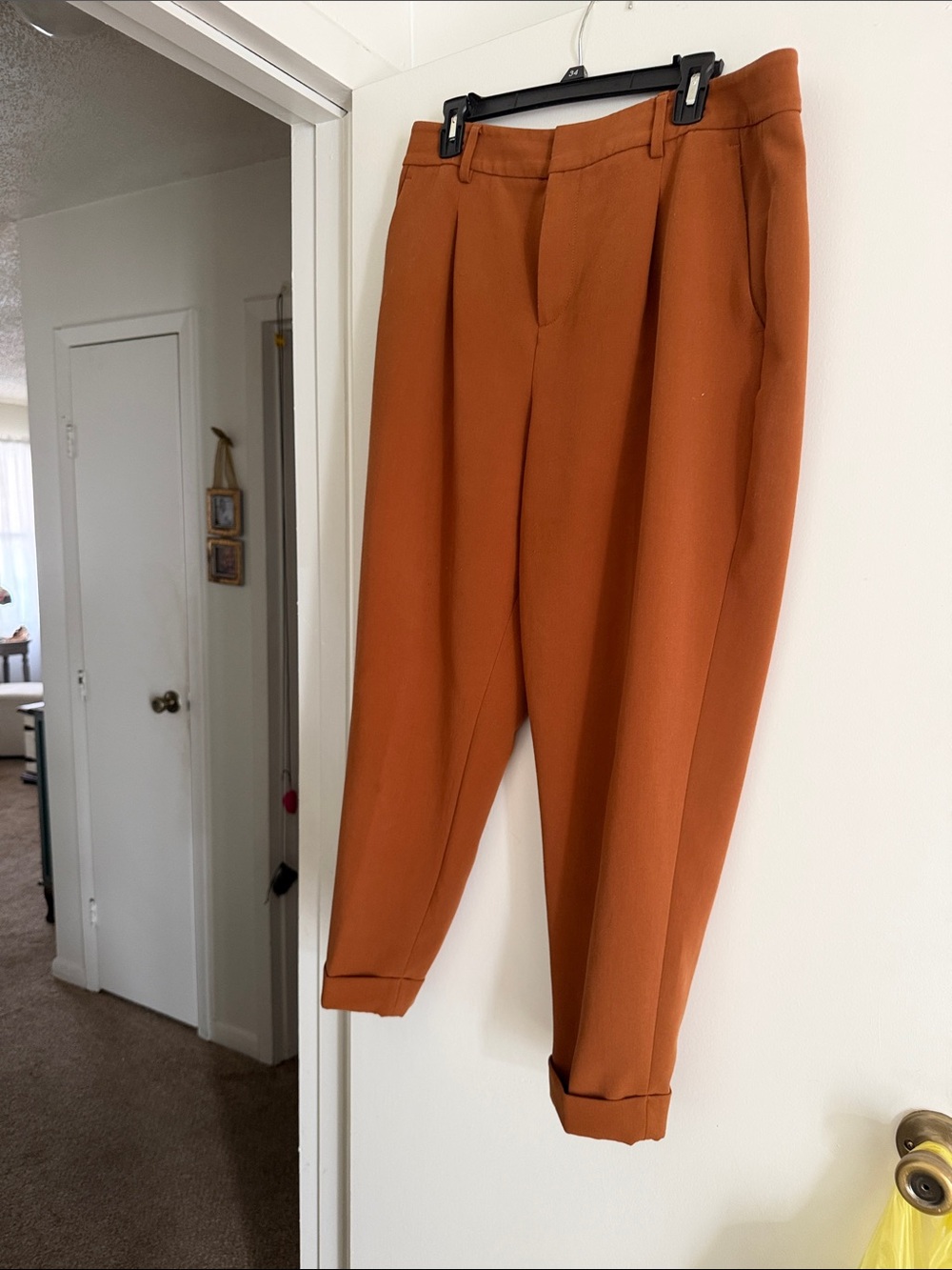 Banana Republic Burnt Orange Cropped Pleated Trousers